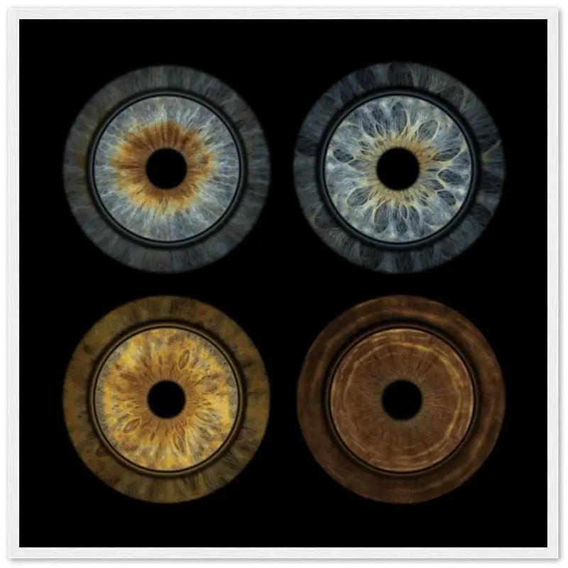Custom quartet iris poster with white frame on black background
