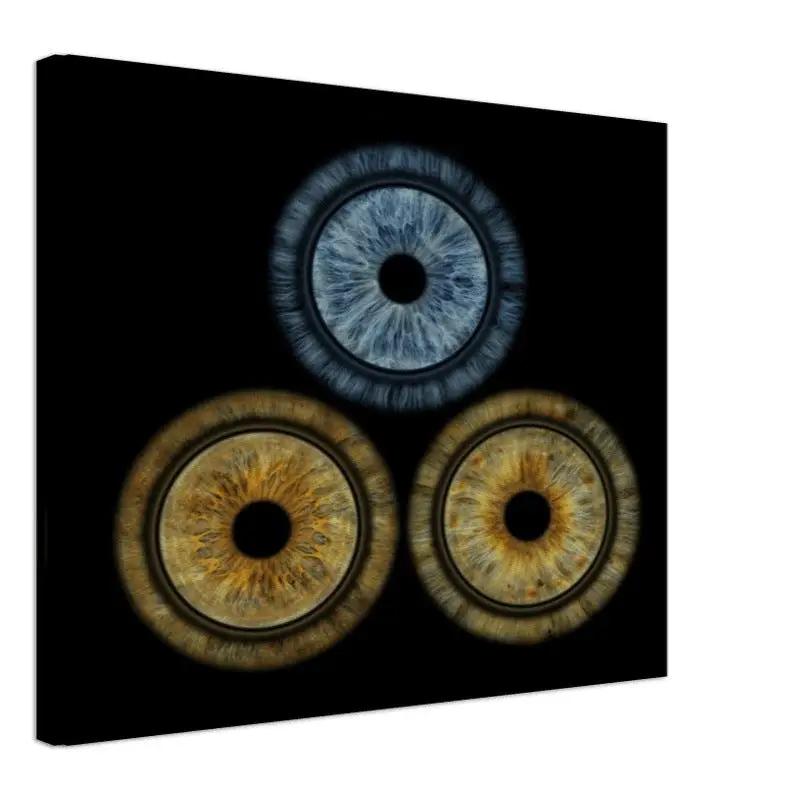 Custom Trio Iris Canvas with dark background