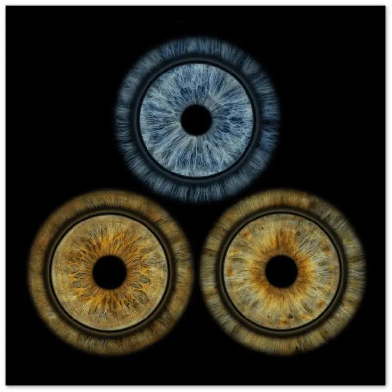 Custom Trio Iris Poster with dark background