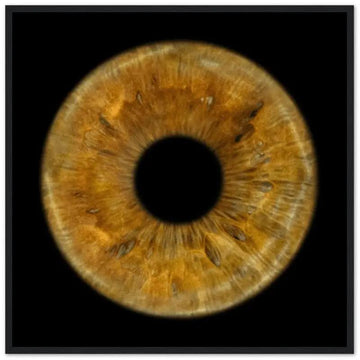 The Pristine - Custom Iris Black Framed Poster 50x50 cm / 20x20''