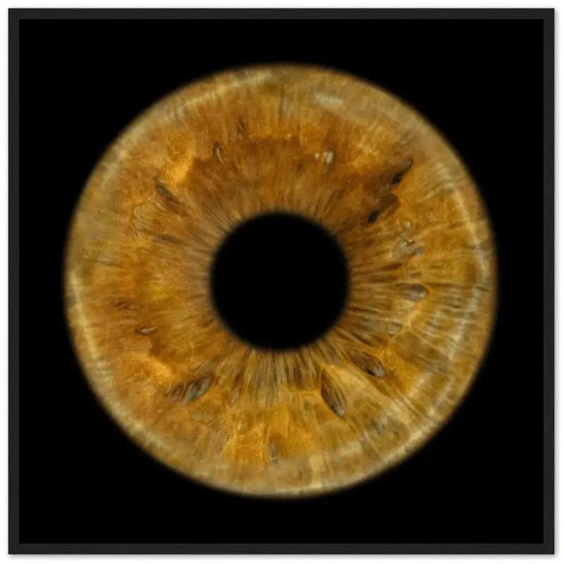 The Pristine - Custom Iris Black Framed Poster 50x50 cm / 20x20''