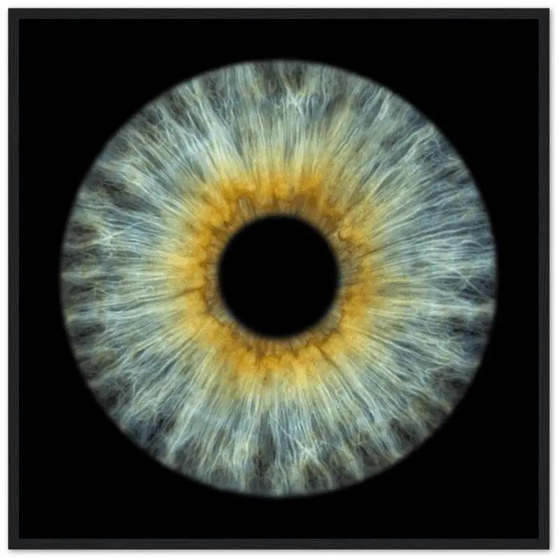 The Pristine - Custom Iris Black Framed Poster 70x70 cm / 28x28''