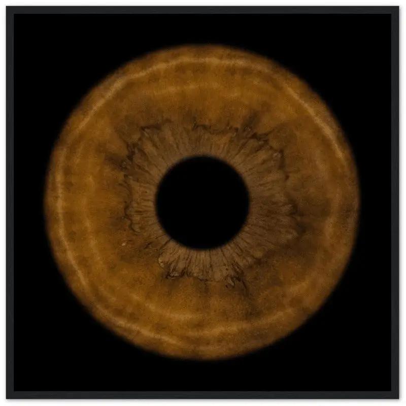 The Pristine - Custom Iris Black Framed Poster 30x30 cm / 12x12&#39;&#39;