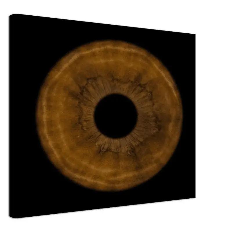 The Pristine - Custom Iris Canvas 50x50 cm / 20x20&#39;&#39;