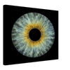 The Pristine - Custom Iris Canvas 40x40 cm / 16x16&#39;&#39;