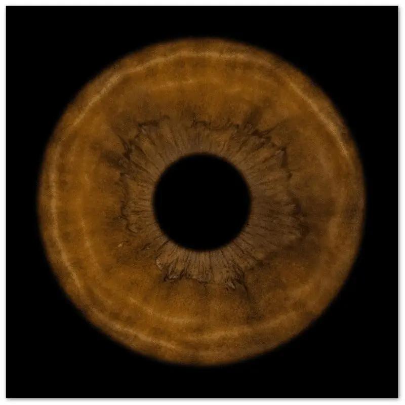 The Pristine - Custom Iris Premium Poster 50x50 cm / 20x20&#39;&#39;