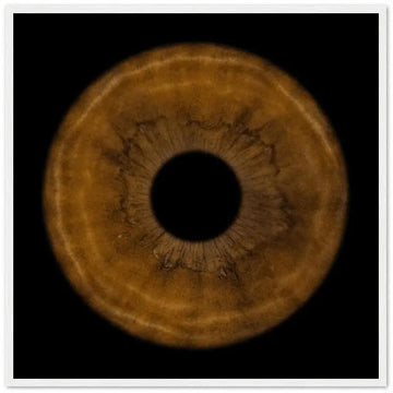 The Pristine - Custom Iris White Framed Poster 30x30 cm / 12x12''