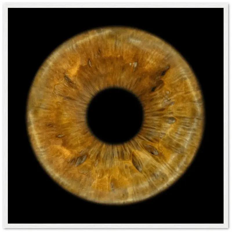 The Pristine - Custom Iris White Framed Poster 50x50 cm / 20x20''