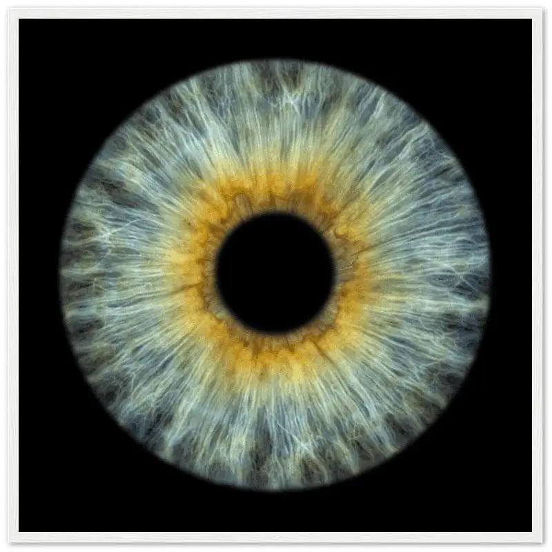 The Pristine - Custom Iris White Framed Poster