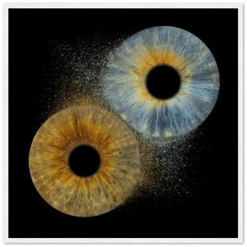 Custom duo iris poster with white frame on black background