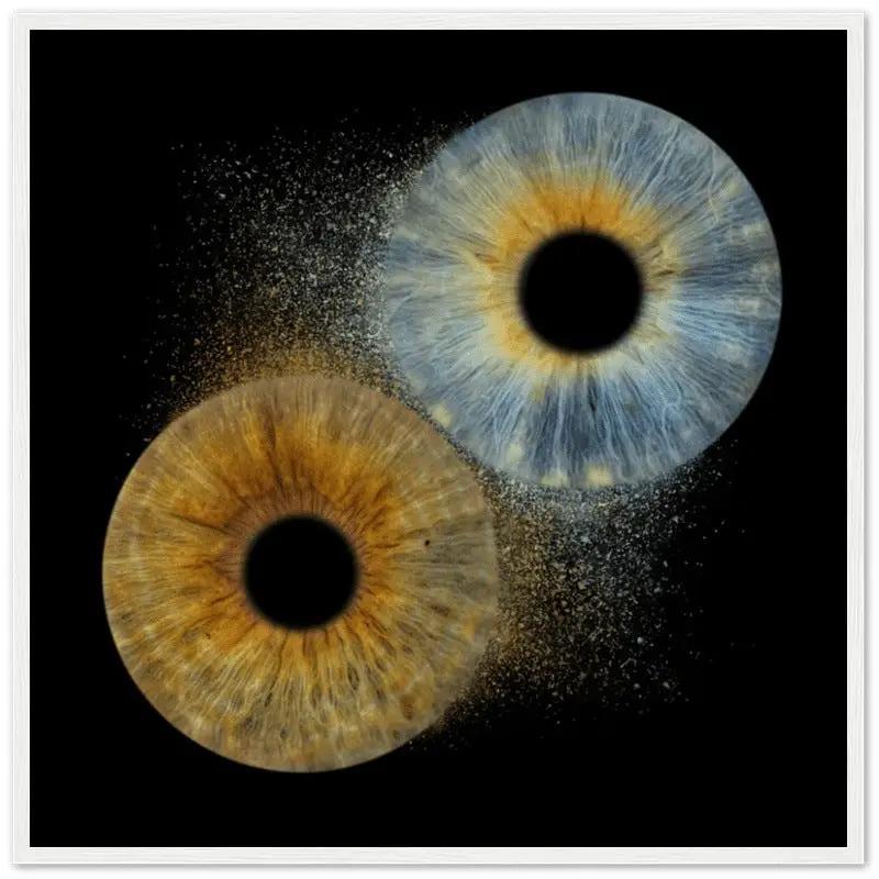 Custom duo iris poster with white frame on black background