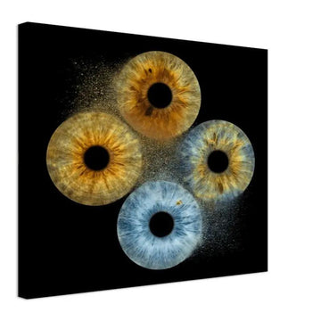 Vibrant quartet iris canvas on black background