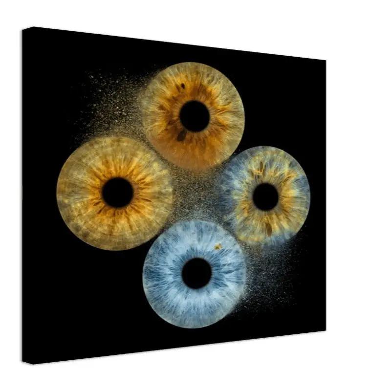 Vibrant quartet iris canvas on black background