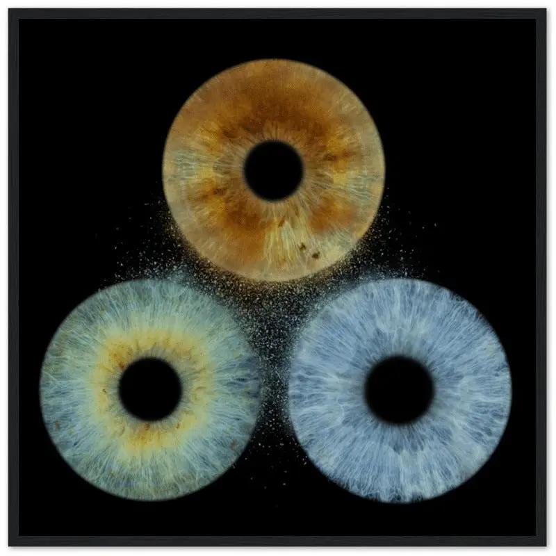 Custom trio iris black framed poster on dark background