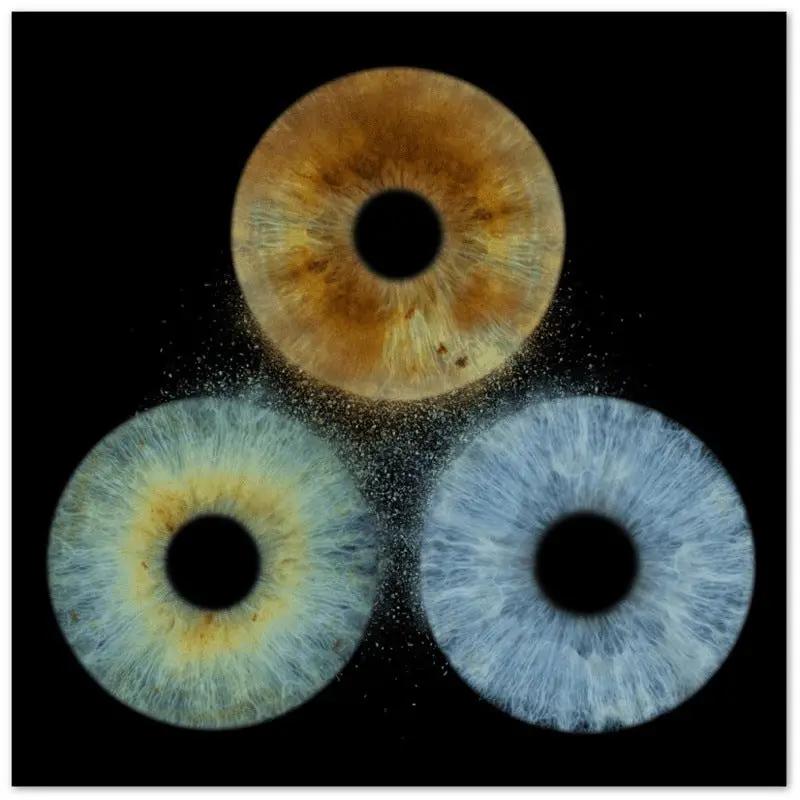 Close-up of Custom Trio Iris Canvas on black