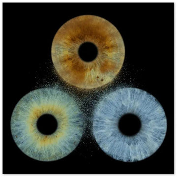 Custom Trio Iris Premium Poster on black background