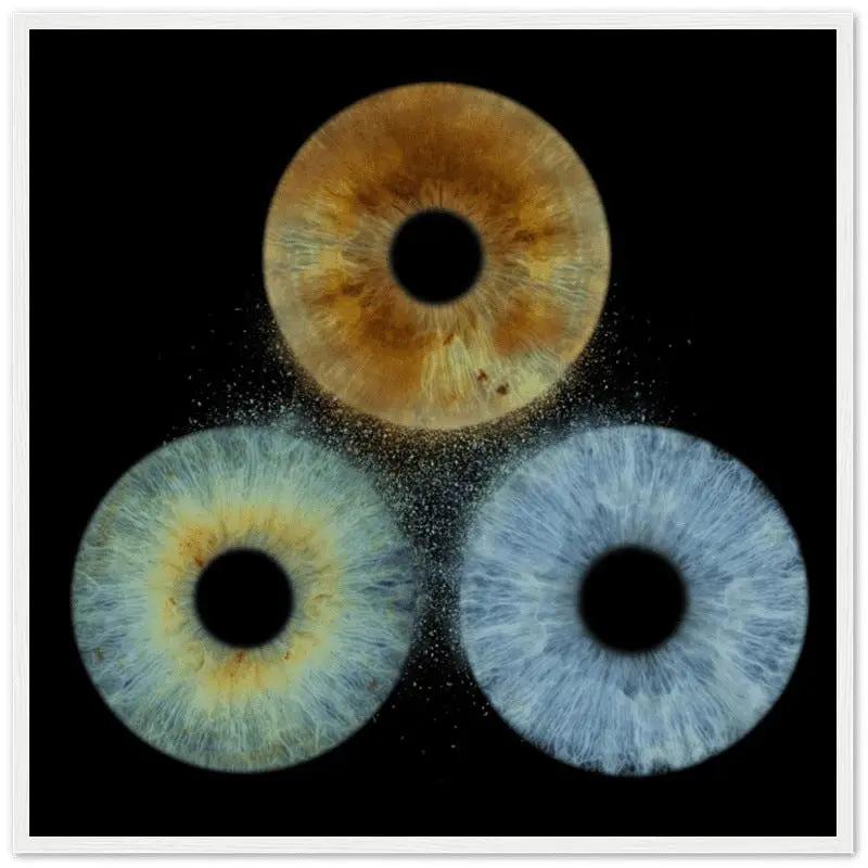 Custom trio iris poster with black background