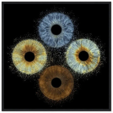 Quartet iris black framed poster with vibrant colors