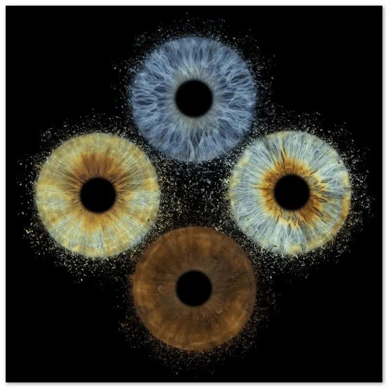 The Vibrant - Custom Quartet Iris Premium Poster