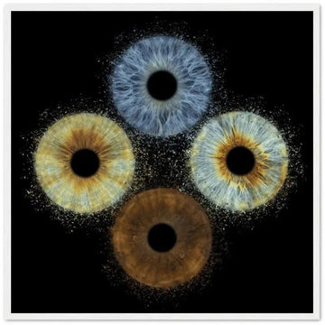 Custom quartet iris poster with white frame on black background
