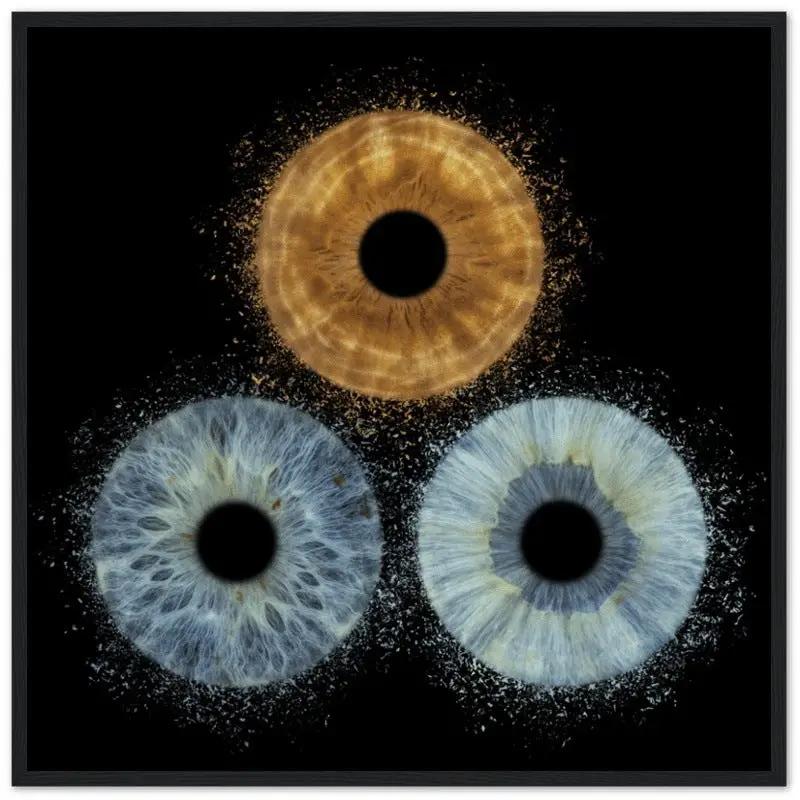 The Vibrant - Custom Trio Iris Black Framed Poster