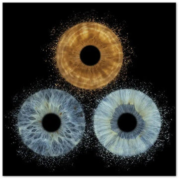 The Vibrant - Custom Trio Iris Premium Poster