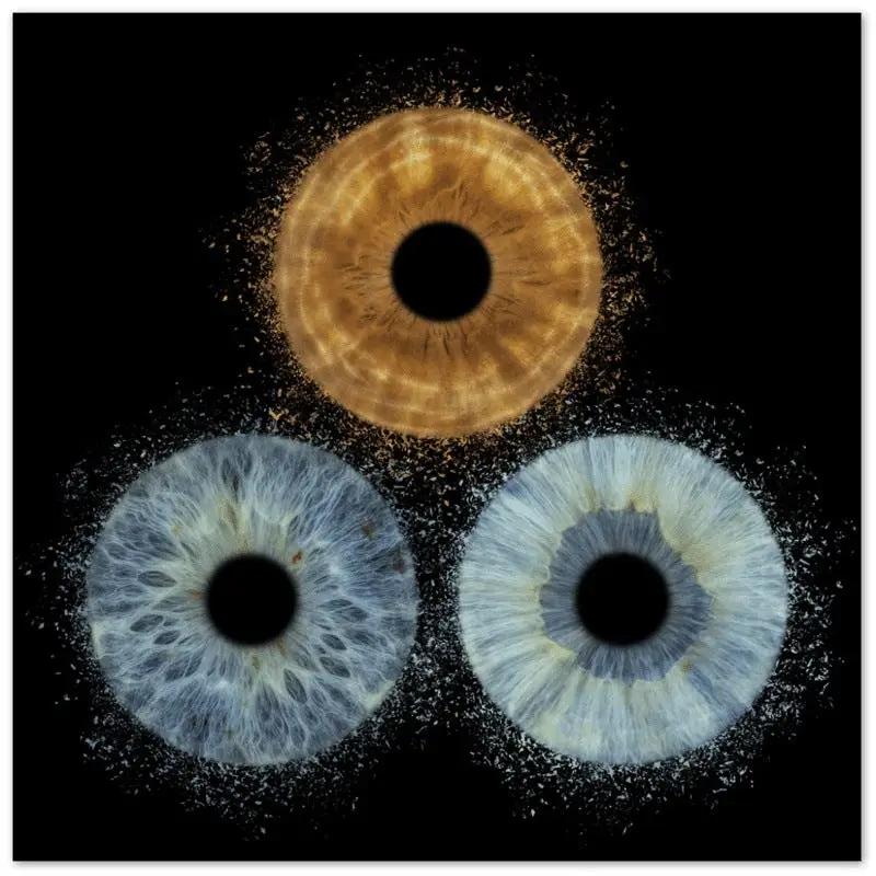 The Vibrant - Custom Trio Iris Premium Poster