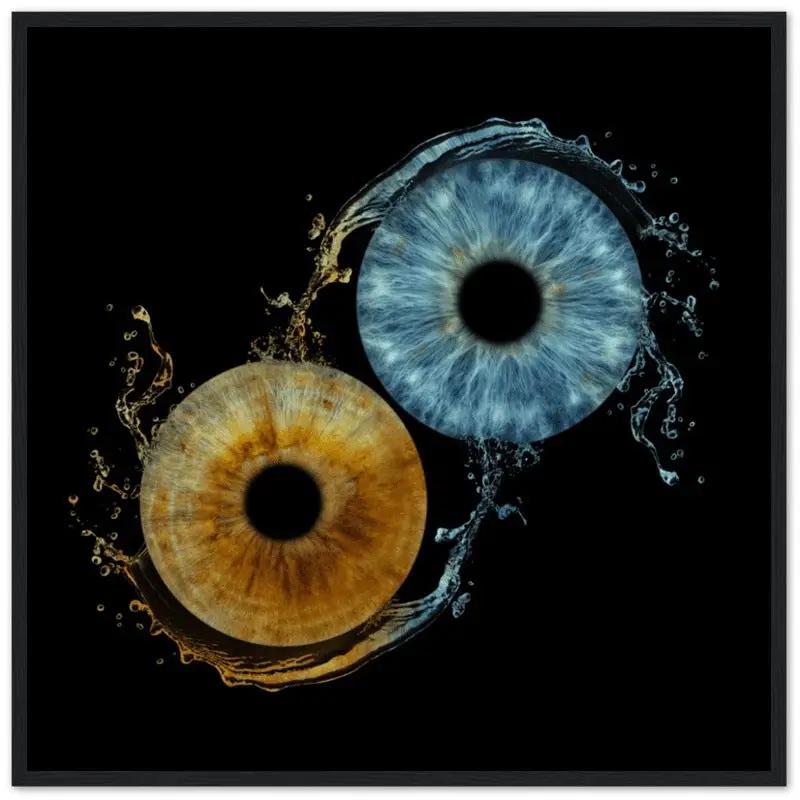 Custom duo iris black framed poster with blue and brown irises.