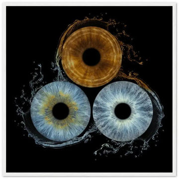 Custom trio iris white framed poster with black background